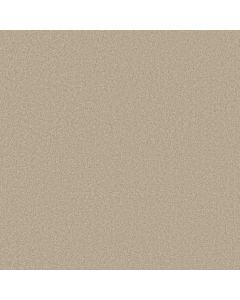 Shaw ULTIMATE EXPRESSION 15' Oatmeal Carpet - SH-19829-00104