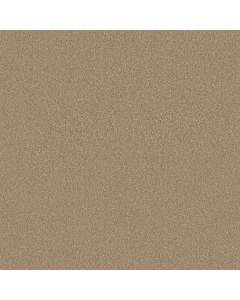 Shaw ULTIMATE EXPRESSION 15' Adobe Carpet - SH-19829-00108