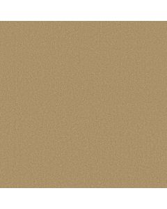 Shaw ULTIMATE EXPRESSION 15' Cornfield Carpet - SH-19829-00202