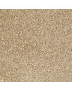 Shaw JET SET Leather Carpet - SH-52349-00700