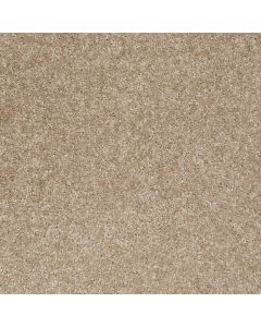 Shaw JET SET Portabello Carpet - SH-52349-00706