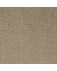 Shaw MODERN BEAUTY Mushroom Carpet - SH-5246G-00703