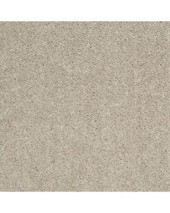 Shaw ELLENDALE 12' Misty Taupe Carpet - SH-5273G-00105