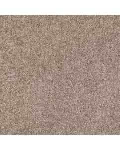 Shaw ELLENDALE 12' Aloe Carpet - SH-5273G-00300