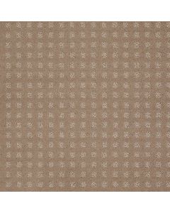 Shaw MADE TO BE YOURS Chameleon Carpet - SH-5282G-00104