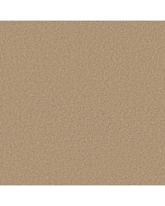 Shaw COLESVILLE 12' Light Aspiration Carpet - SH-5294G-00101