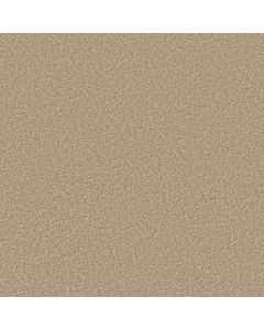 Shaw COLESVILLE 12' Muslin Carpet - SH-5294G-00102