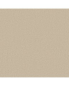 Shaw COLESVILLE 12' Sand Dollar Carpet - SH-5294G-00106