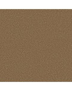 Shaw COLESVILLE 12' New Cork Carpet - SH-5294G-00200