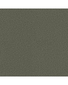 Shaw COLESVILLE 12' Central Park Carpet - SH-5294G-00301