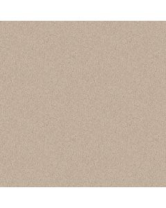 Shaw SUN VALLEY 12 Alabaster Carpet - SH-52J72-55100