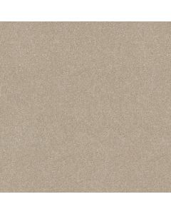 Shaw SUN VALLEY 12 Taupe Carpet - SH-52J72-55105