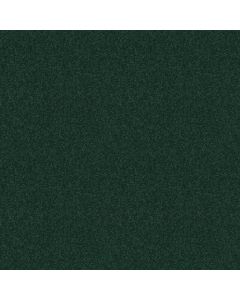 Shaw SUN VALLEY 12 Polo Carpet - SH-52J72-55301