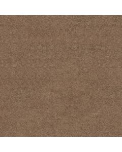 Shaw SUN VALLEY 12 Driftwood Carpet - SH-52J72-55720