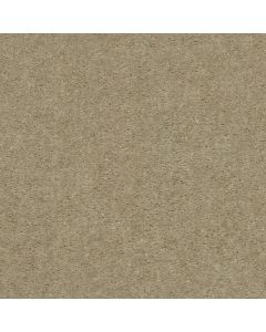Shaw THIS IS IT PLUS Desert Breeze Carpet - SH-52N08-00116