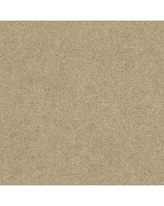 Shaw ARVIN Venetian Tile Carpet - SH-52N23-00106