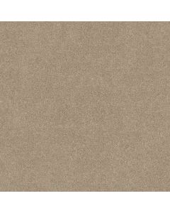 Shaw ESSAY II 12' Sand Dollar Carpet - SH-52N67-00116