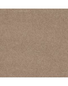 Shaw ESSAY II 12' Moccasin Carpet - SH-52N67-00752