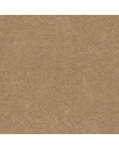 Shaw HOLLYWOOD REGENCY II Straw Hat Carpet - SH-52N75-00250