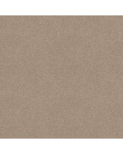 Shaw HOLLYWOOD REGENCY II Cookie Dough Carpet - SH-52N75-00771