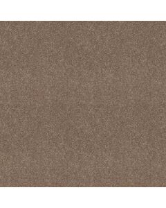Shaw HOLLYWOOD REGENCY II Fawn Carpet - SH-52N75-00792
