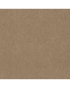 Shaw HOLLYWOOD REGENCY II Field Khaki Carpet - SH-52N75-00793
