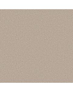 Shaw HOLLYWOOD REGENCY II 15' Crisp Linen Carpet - SH-52N92-00109