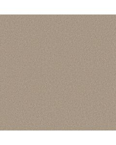 Shaw HOLLYWOOD REGENCY II 15' Sand Dollar Carpet - SH-52N92-00116
