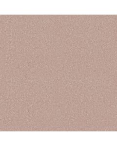 Shaw HOLLYWOOD REGENCY II 15' Sheer Ecru Carpet - SH-52N92-00153