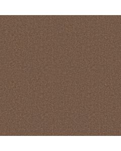 Shaw HOLLYWOOD REGENCY II 15' Moccasin Carpet - SH-52N92-00752