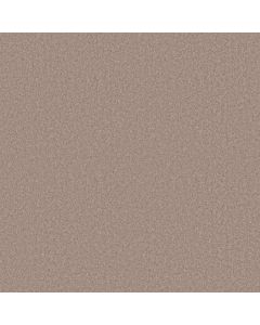Shaw HOLLYWOOD REGENCY II 15' Basket Carpet - SH-52N92-00762