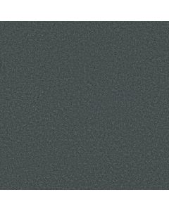 Shaw EVERYDAY COMFORT (S) Gun Metal Carpet - SH-52P07-00401