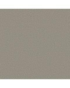 Shaw EVERYDAY COMFORT (S) Antique Pewter Carpet - SH-52P07-00510