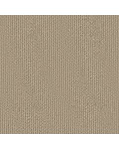 Shaw BEST HOPE Frost Carpet - SH-52V48-00104