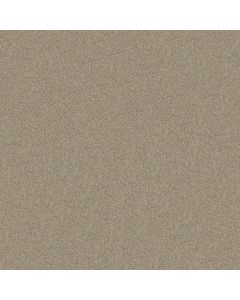 Shaw FULL COURT 12' Bare Mineral Carpet - SH-52Y46-00105