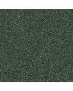 Shaw FIELDER'S CHOICE 15' Going Green Carpet - SH-52Y92-00340
