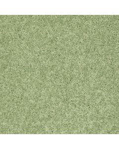 Shaw KID'S CLUB Limeade Carpet - SH-5325G-00330
