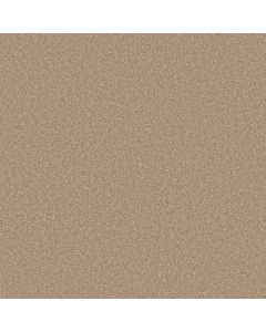 Shaw VIBRANT LIFE 12 (S) Abstract Carpet - SH-5328G-00121