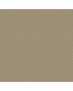 Shaw GRAND IMAGE III Stucco Carpet - SH-5351G-00129