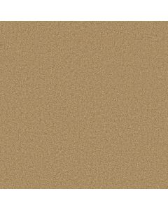 Shaw GRAND IMAGE III Sun Shower Carpet - SH-5351G-00200