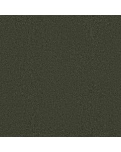 Shaw GRAND IMAGE III Magic Emerald Carpet - SH-5351G-00304