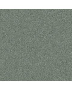Shaw GRAND IMAGE III Fairy Tale Carpet - SH-5351G-00403