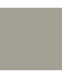 Shaw GRAND IMAGE III Sheer Silver Carpet - SH-5351G-00500