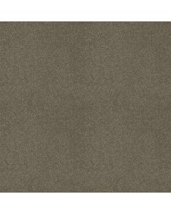 Shaw GRAND IMAGE III Grey Flannel Carpet - SH-5351G-00501