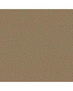 Shaw GRAND IMAGE III Twig Carpet - SH-5351G-00702