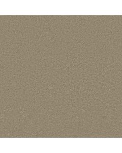 Shaw GRAND IMAGE III Smooth Slate Carpet - SH-5351G-00704
