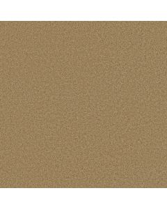Shaw GRAND IMAGE III Honey Pot Carpet - SH-5351G-00722