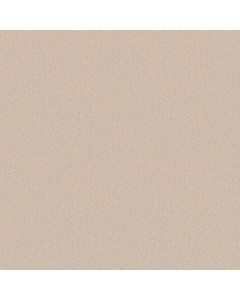 Shaw DYERSBURG II 15' Alabaster Carpet - SH-53856-55100