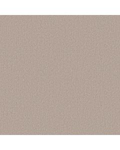 Shaw DYERSBURG II 15' Taupe Carpet - SH-53856-55105
