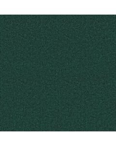 Shaw DYERSBURG II 15' Polo Carpet - SH-53856-55301
